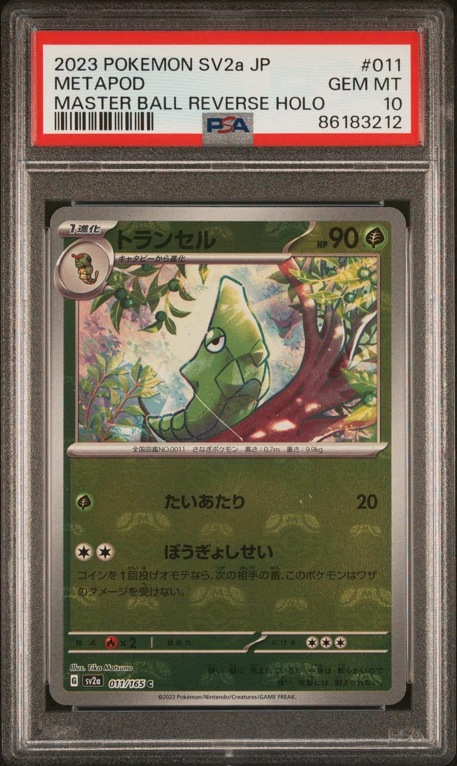 Metapod