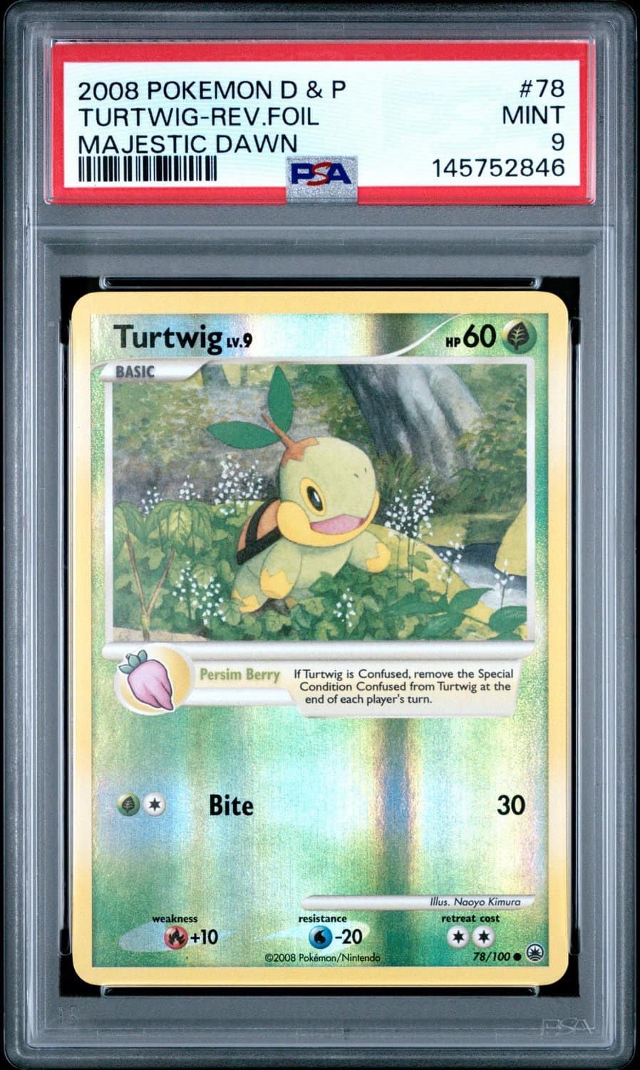 Turtwig