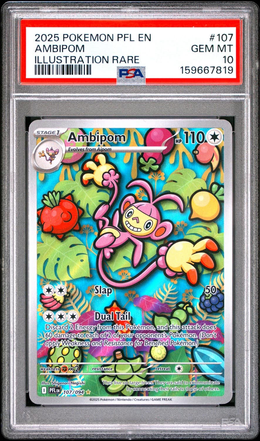 Ambipom