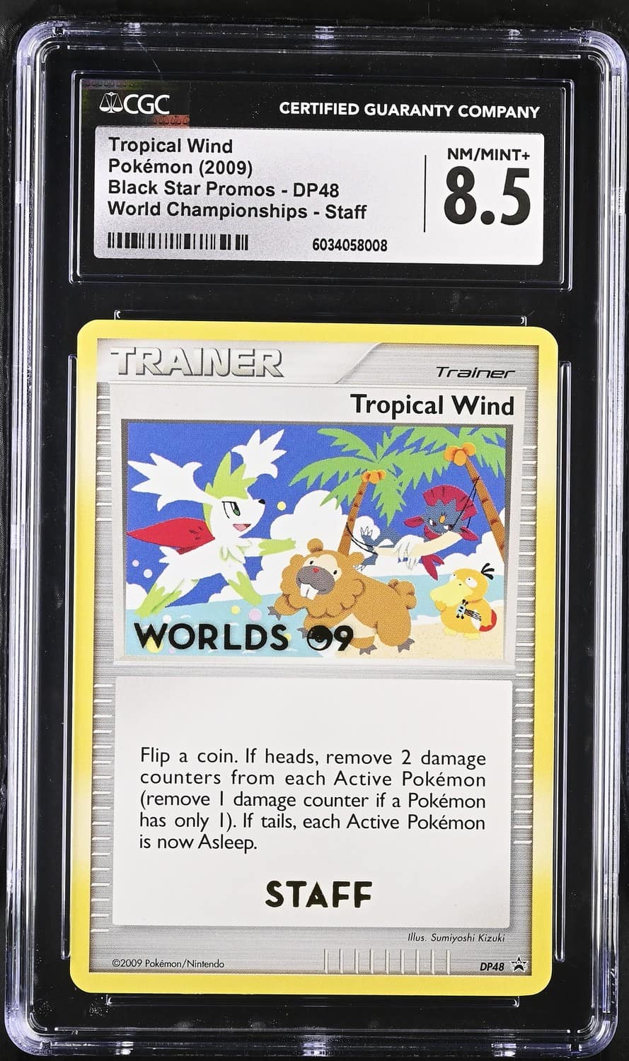 Tropical Wind