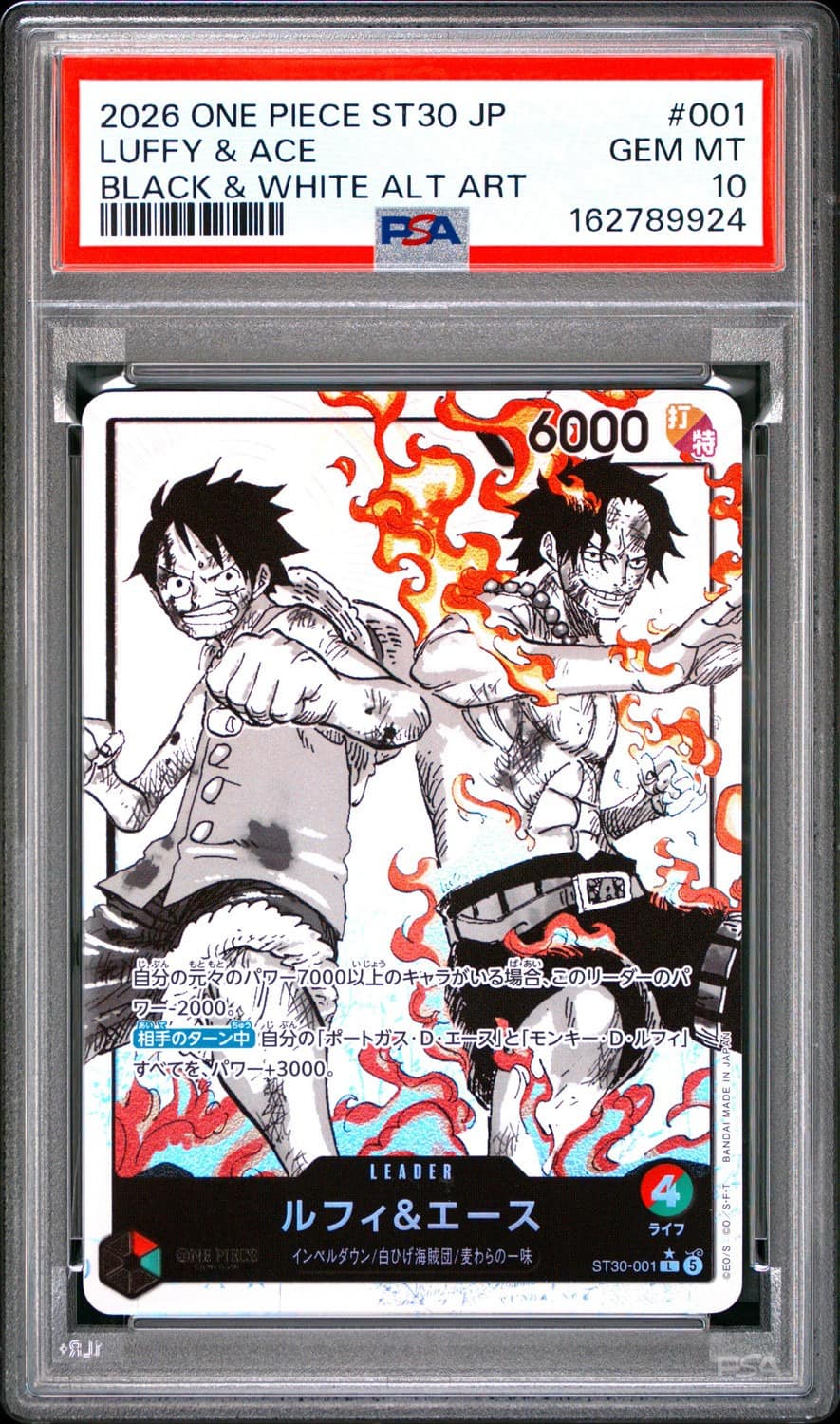 Luffy & Ace