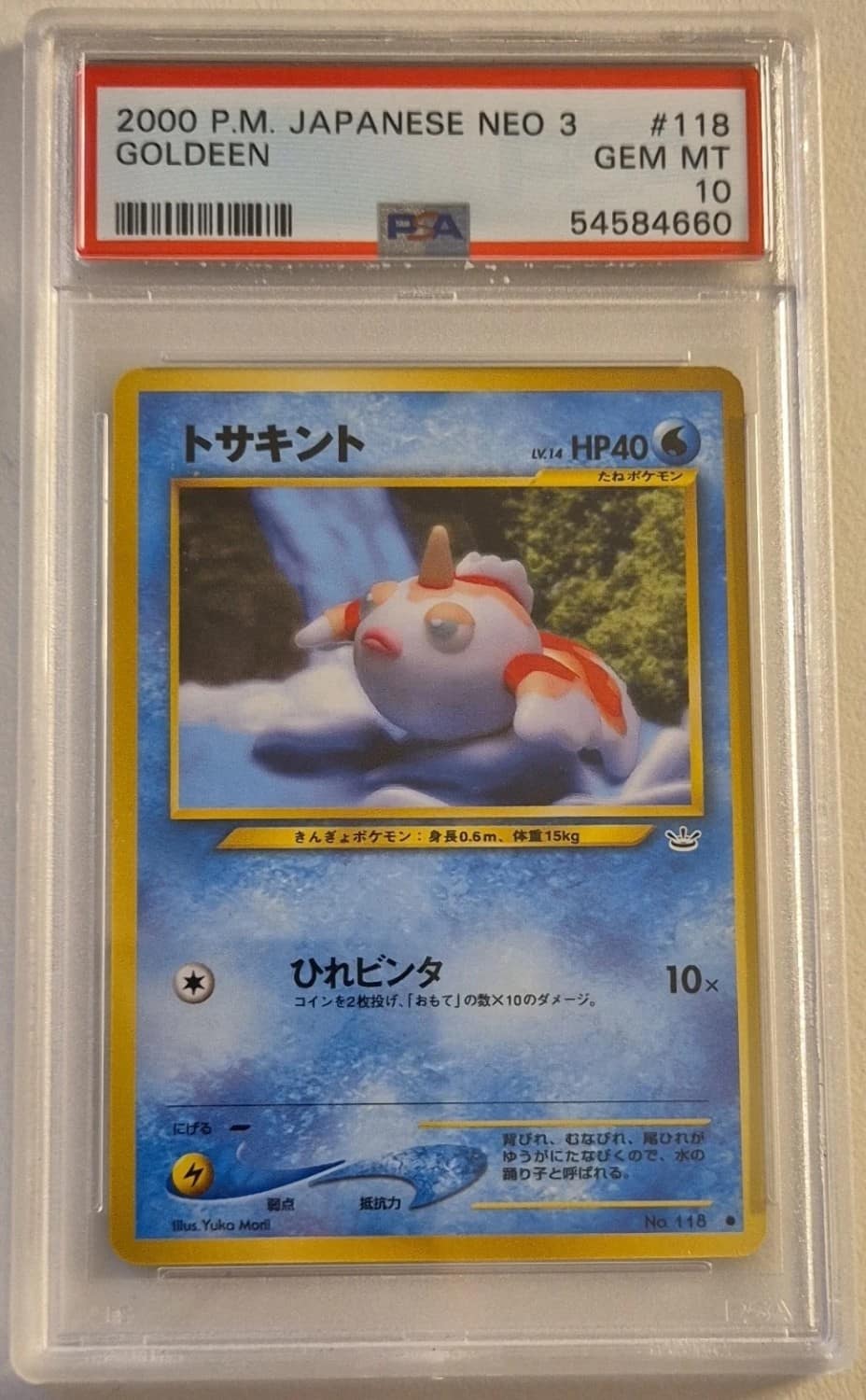 Goldeen