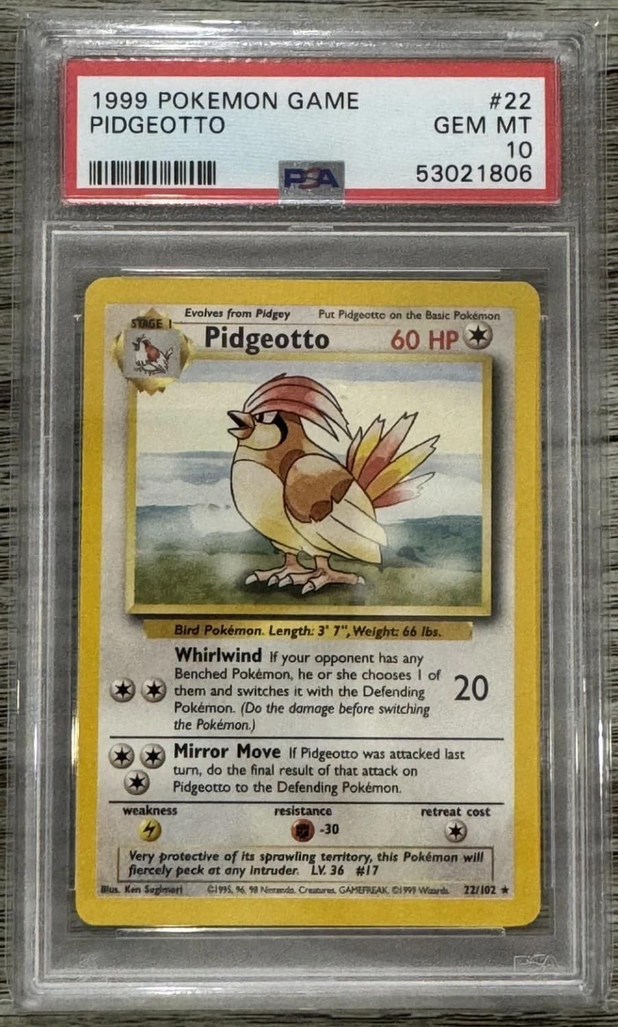 Pidgeotto