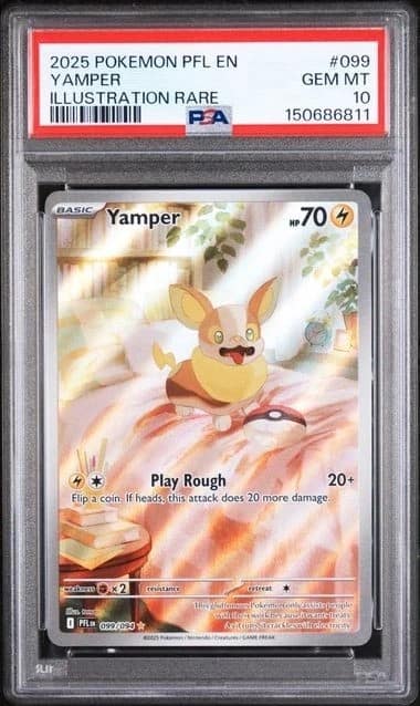 Yamper