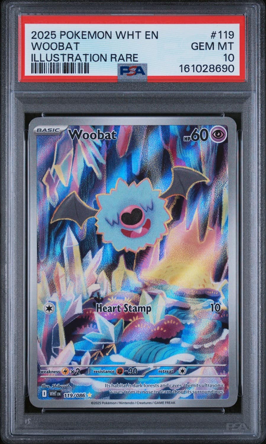 Woobat