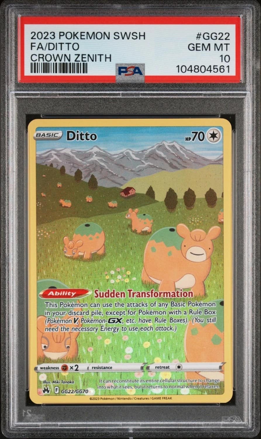 Ditto