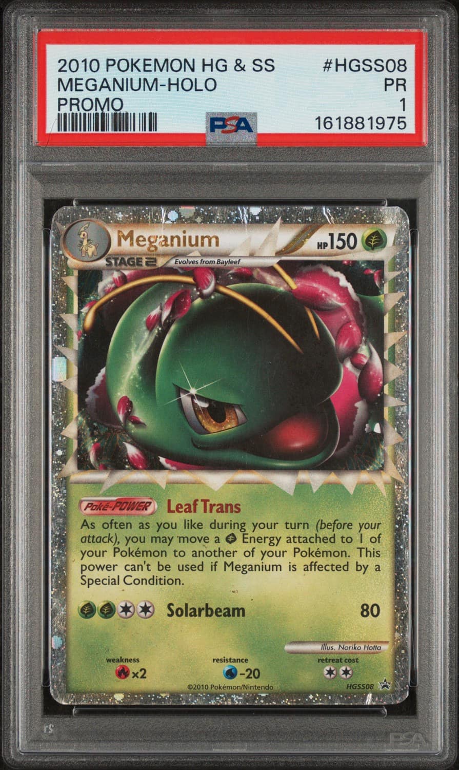 Meganium
