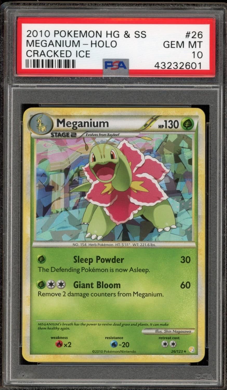 Meganium