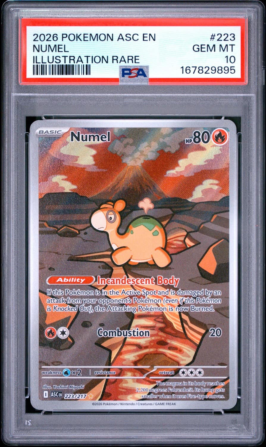 Numel