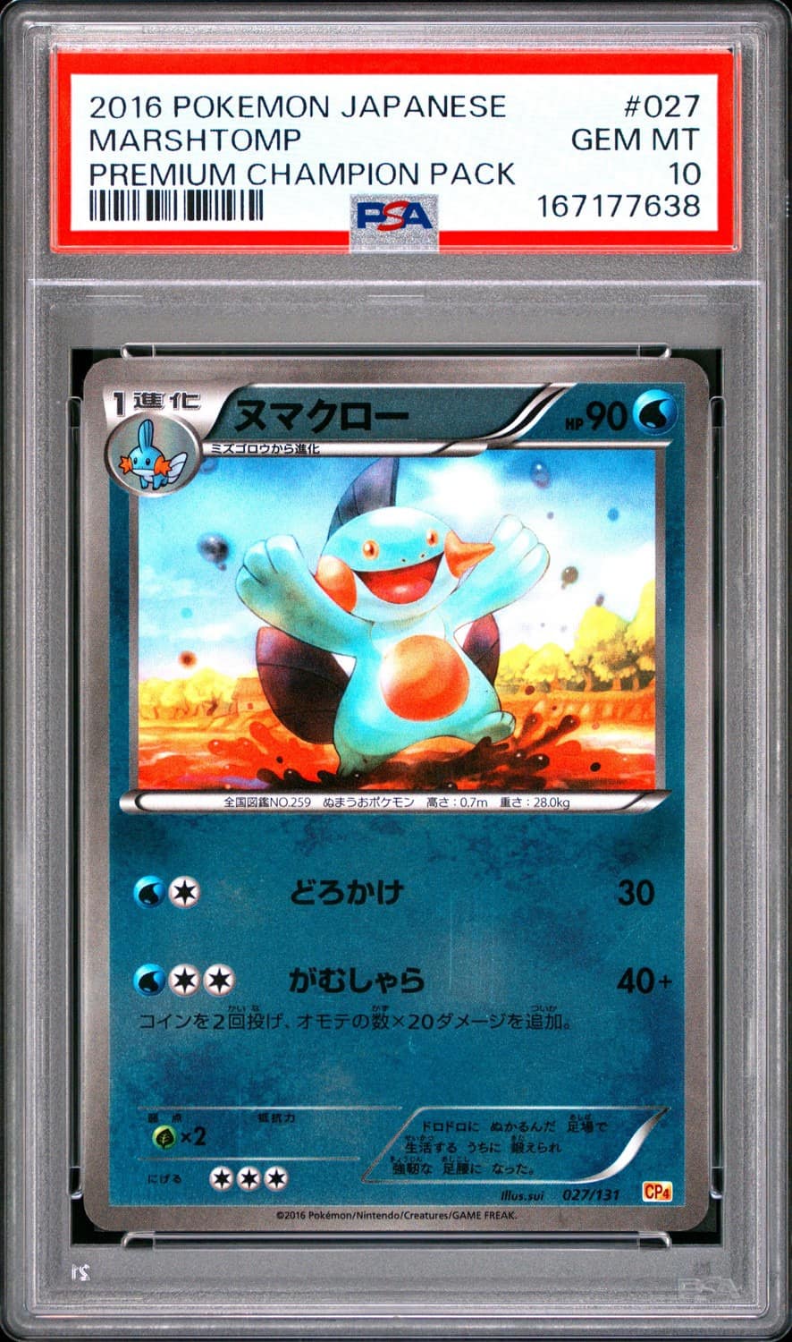 Marshtomp