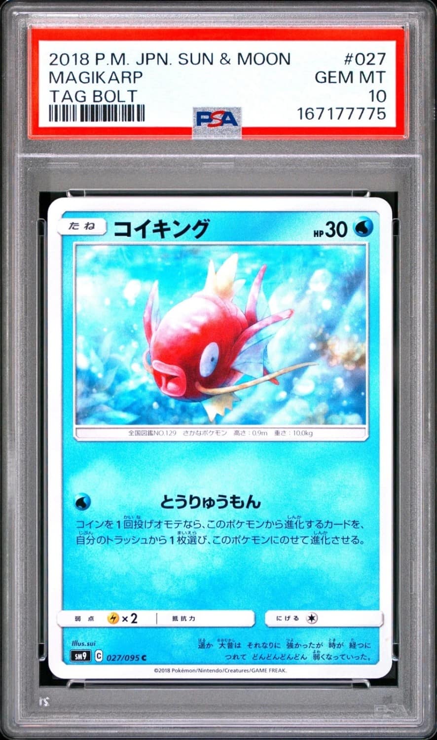 Magikarp