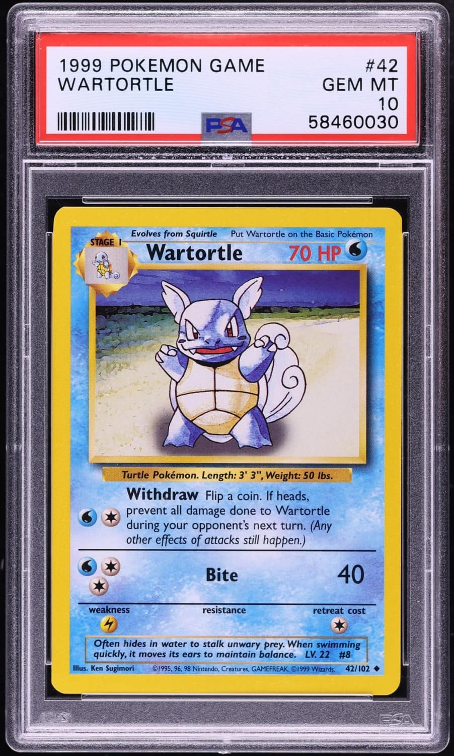 Wartortle