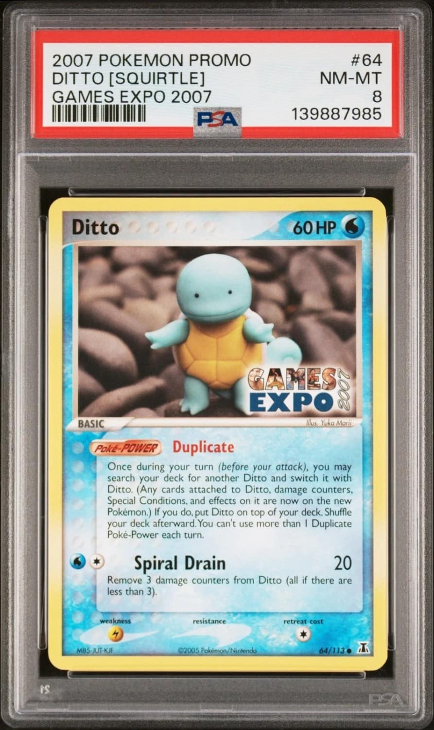 Ditto [squirtle]