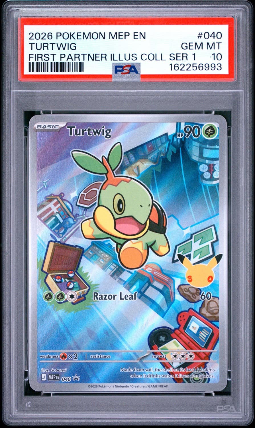 Turtwig