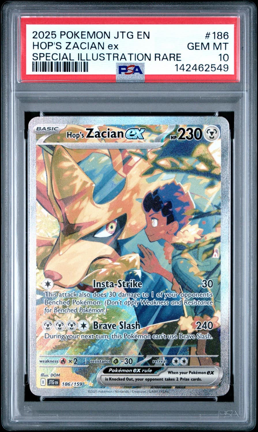 Hop'S Zacian Ex