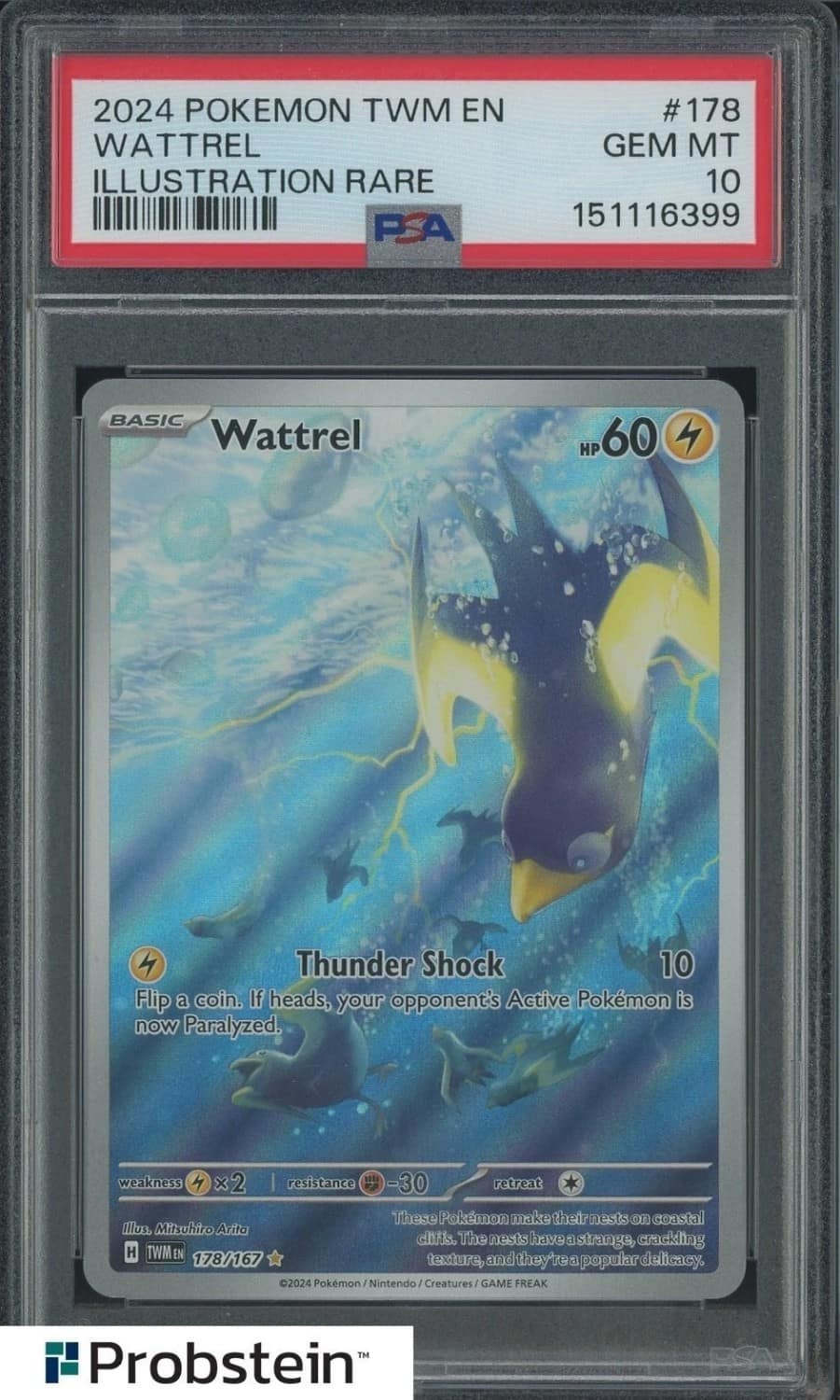 Wattrel