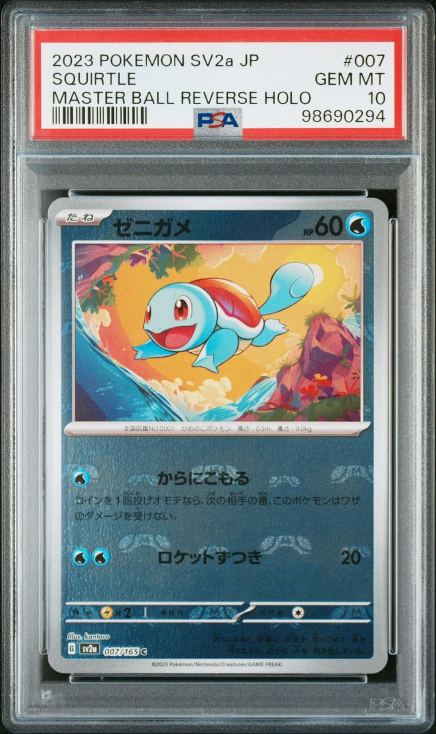 Squirtle