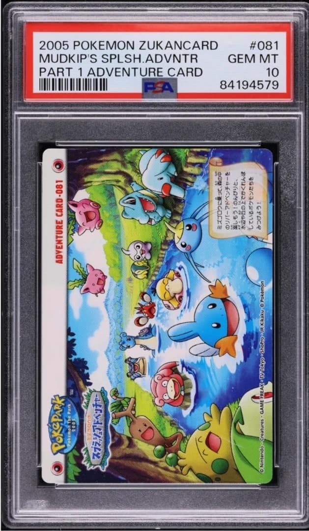 Mudkip'S Big Splash