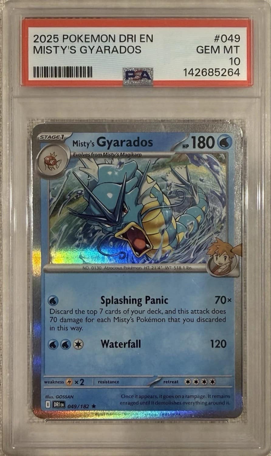 Misty'S Gyarados