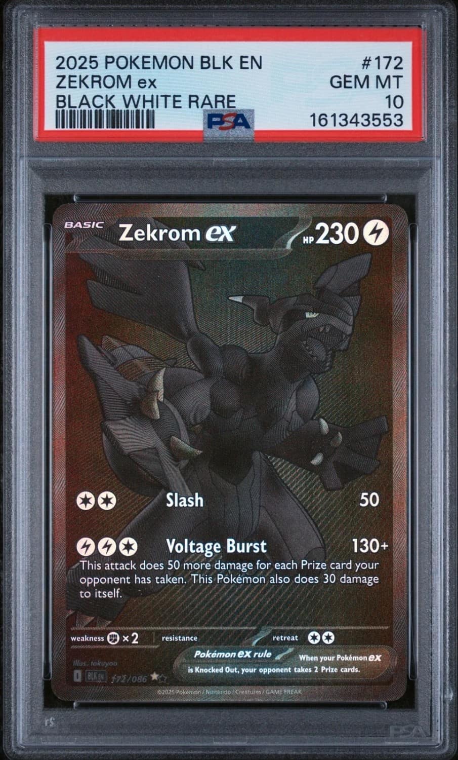 Zekrom Ex