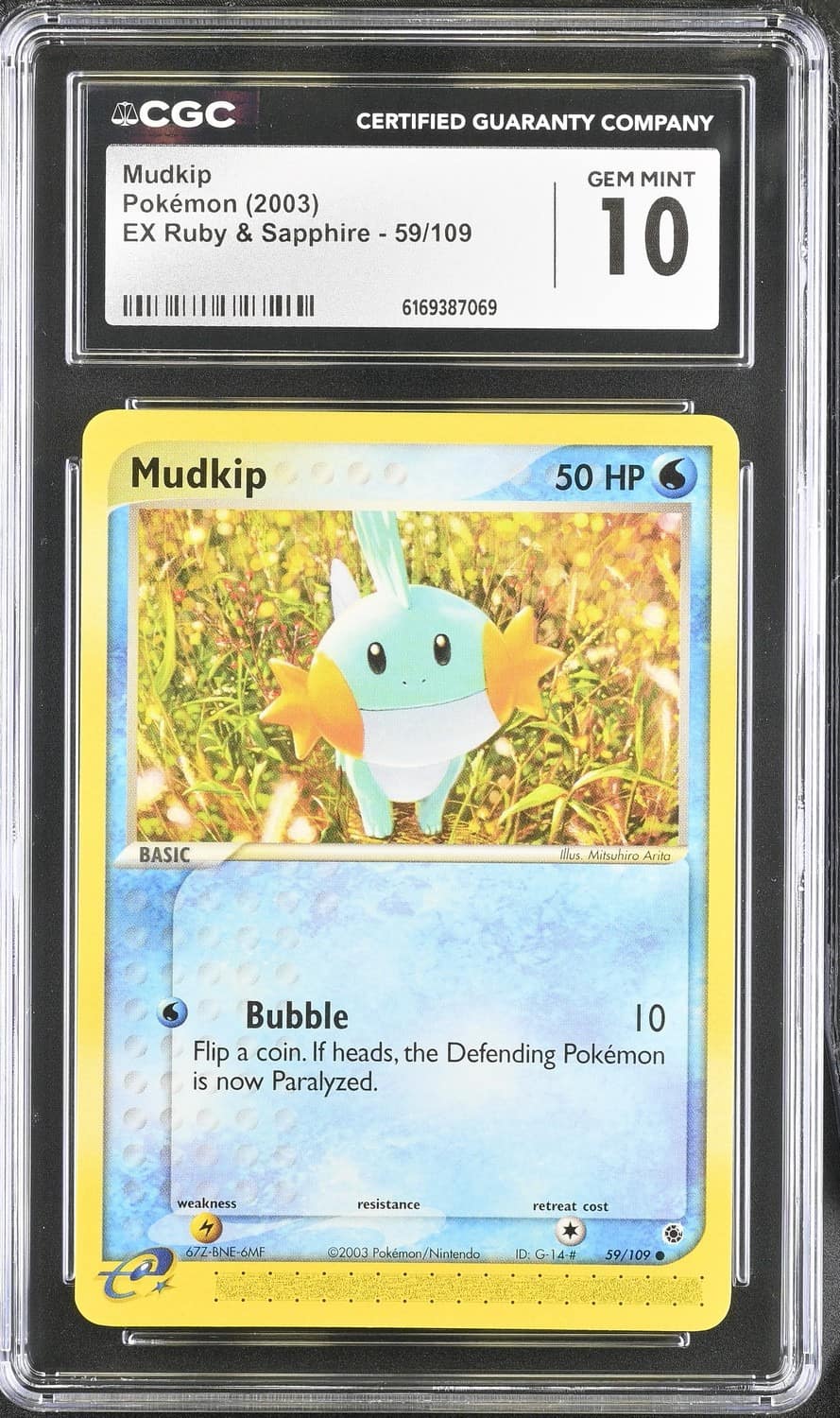 Mudkip