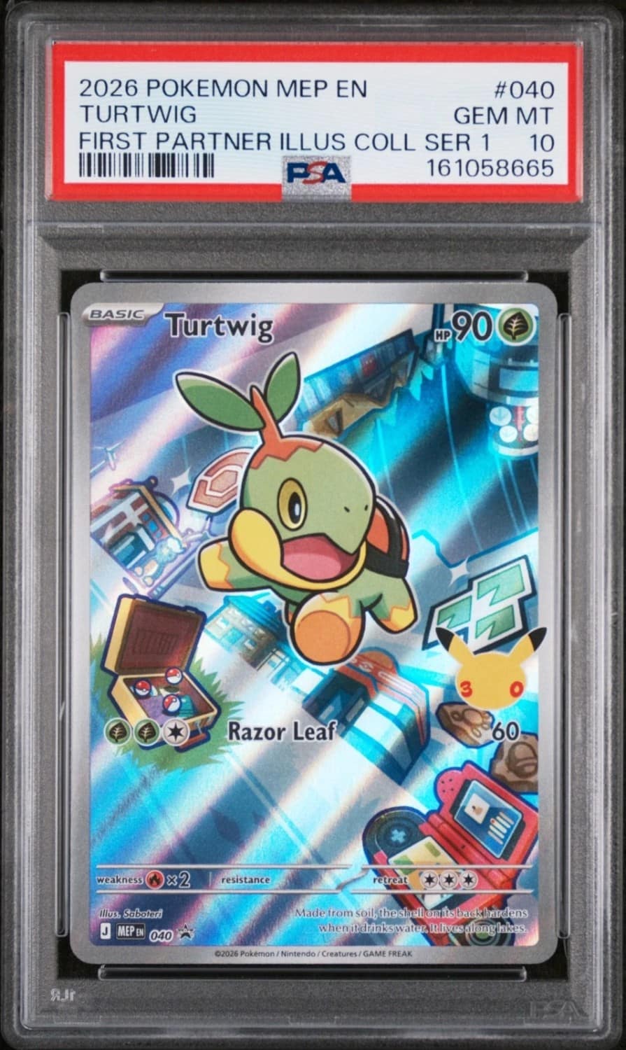 Turtwig