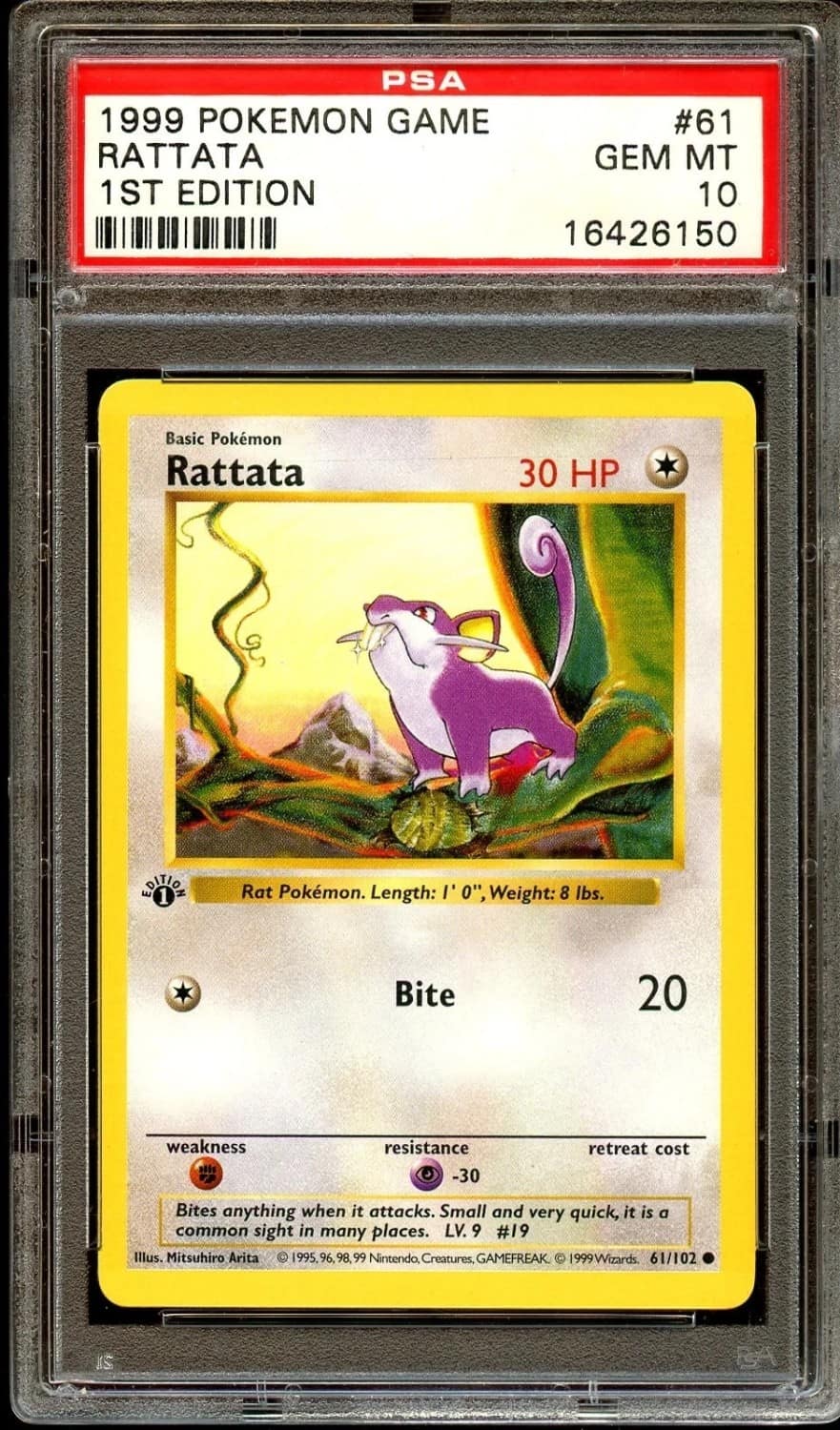 Rattata