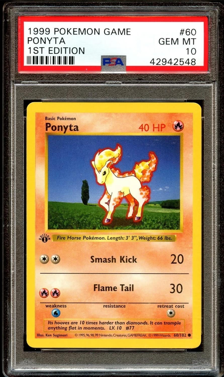 Ponyta
