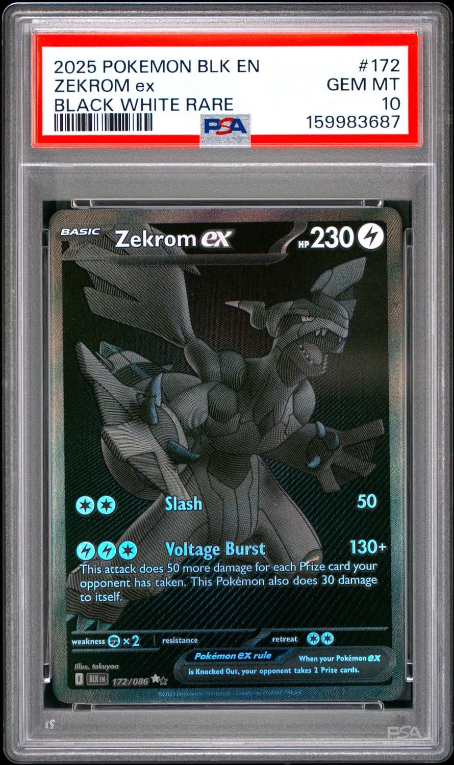 Zekrom Ex
