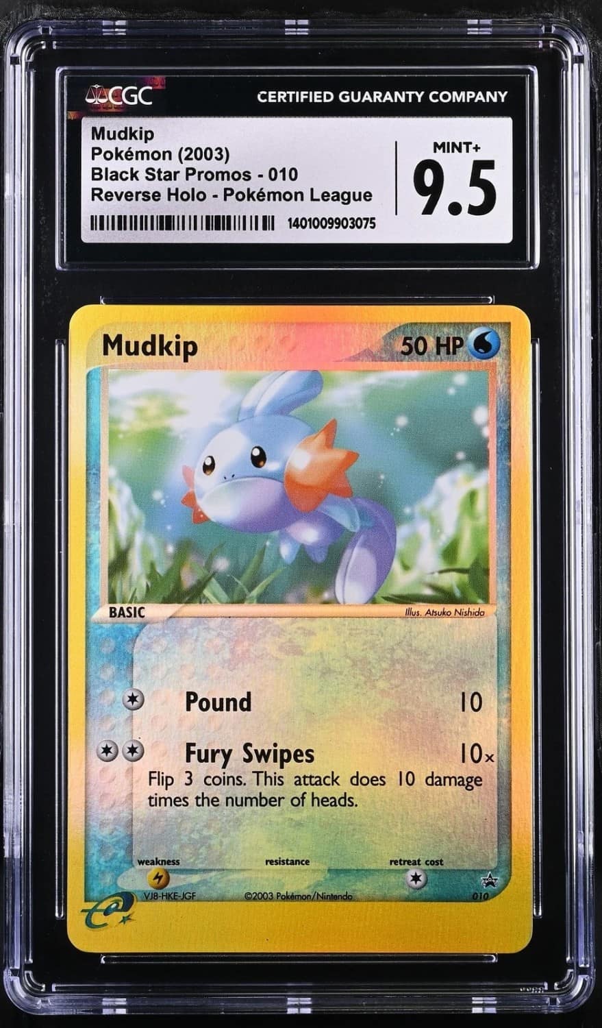 Mudkip
