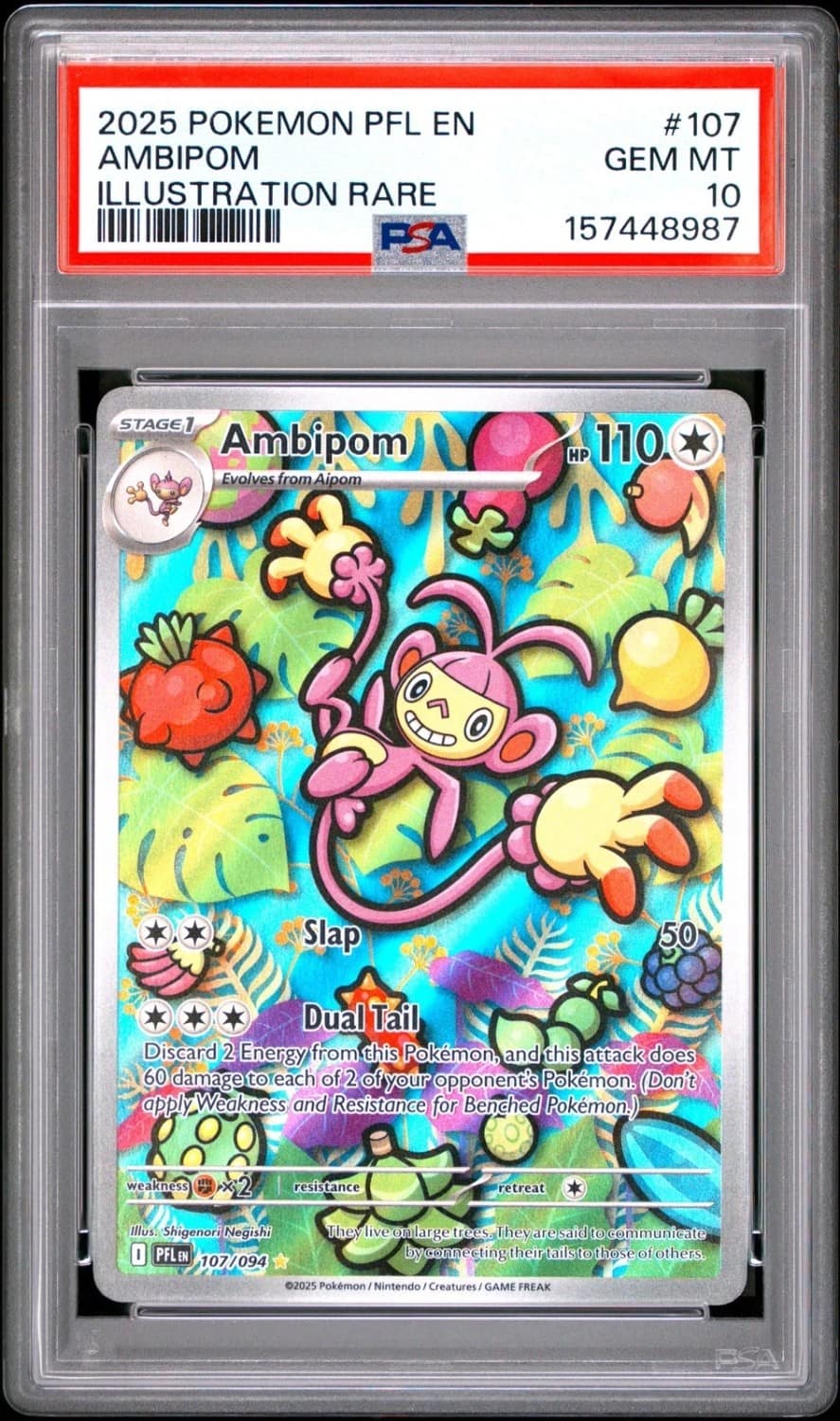 Ambipom
