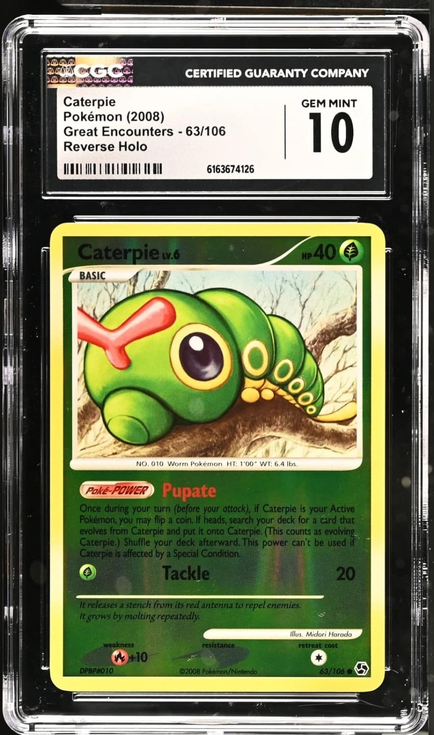 Caterpie