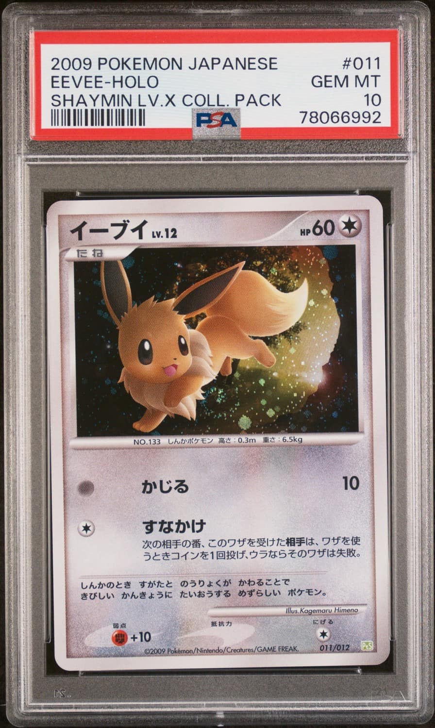 Eevee