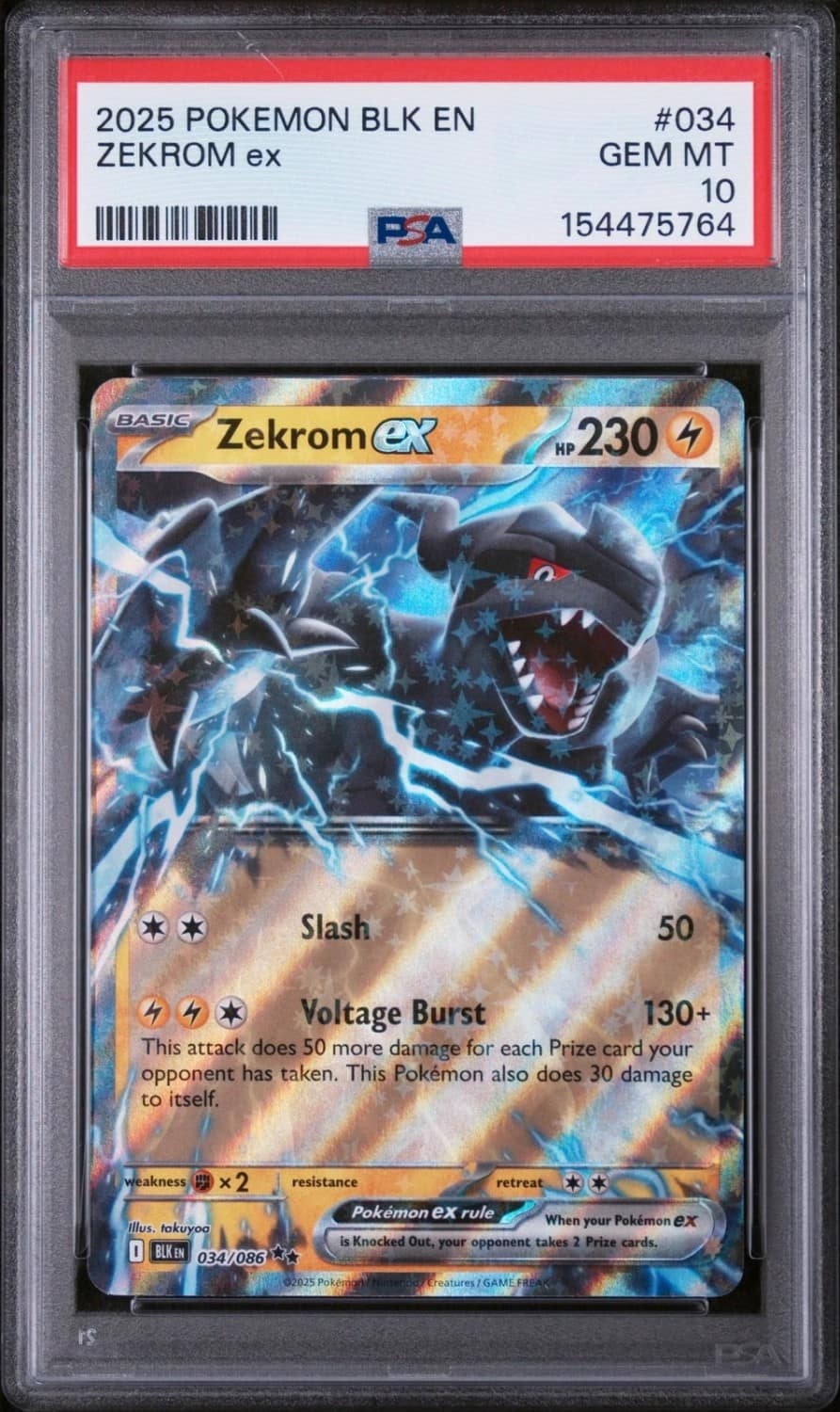 Zekrom Ex