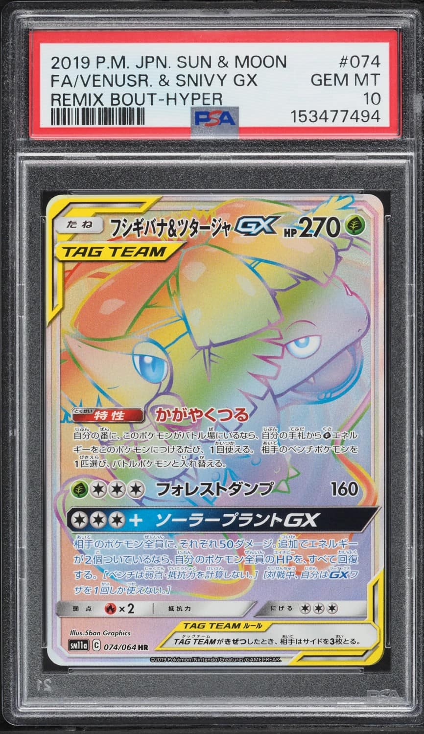 Venusaur & Snivy Gx