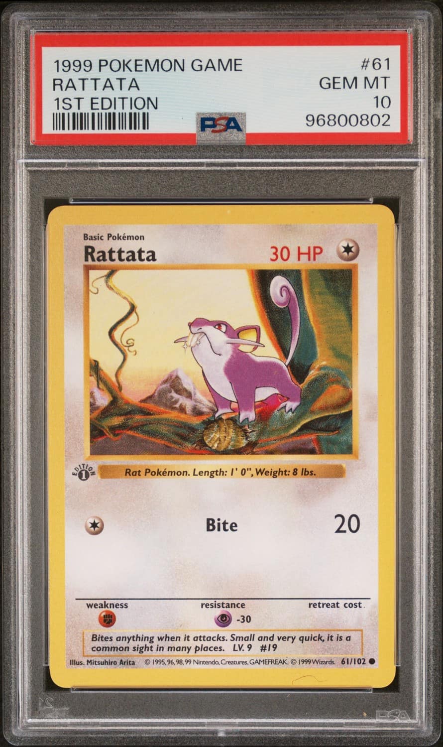 Rattata