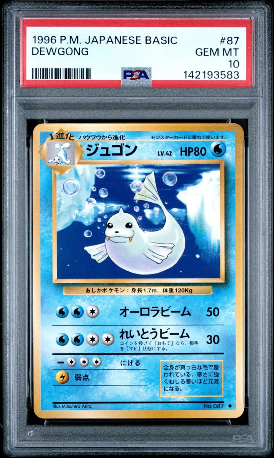Dewgong