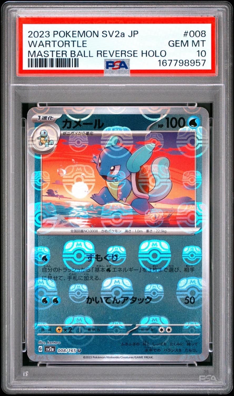 Wartortle
