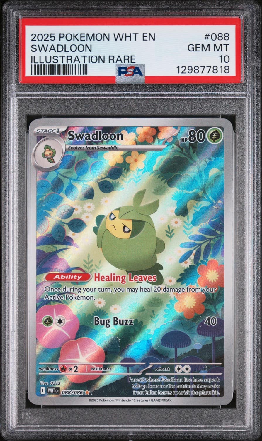 Swadloon