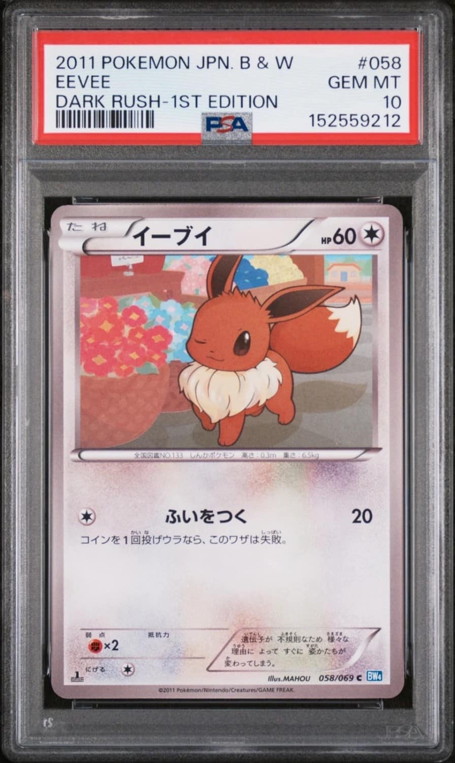Eevee