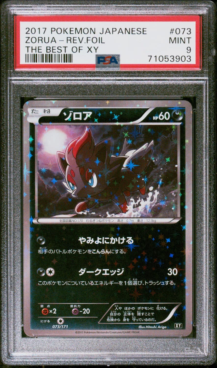Zorua