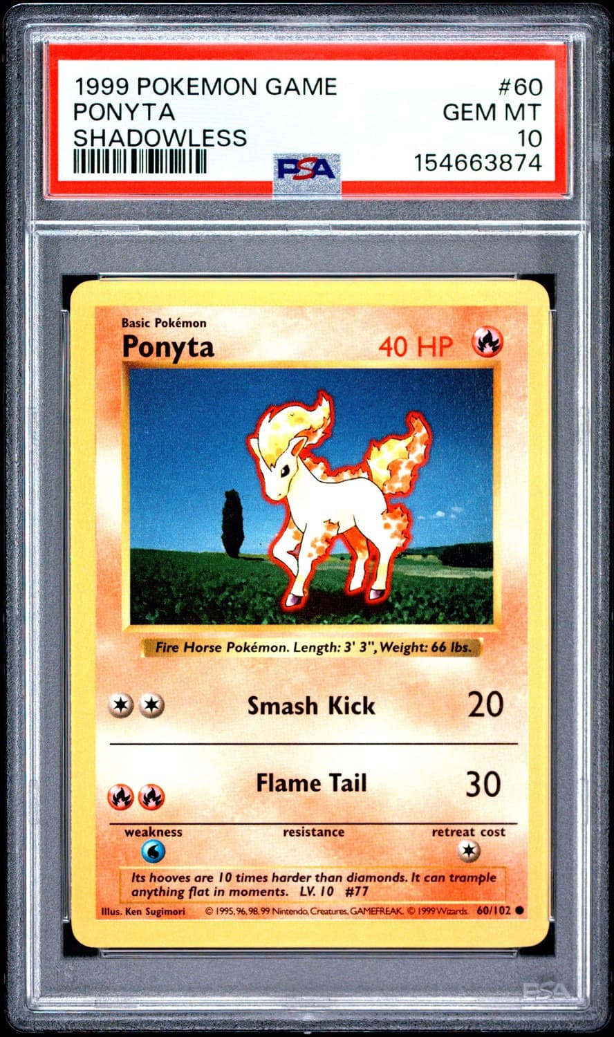 Ponyta