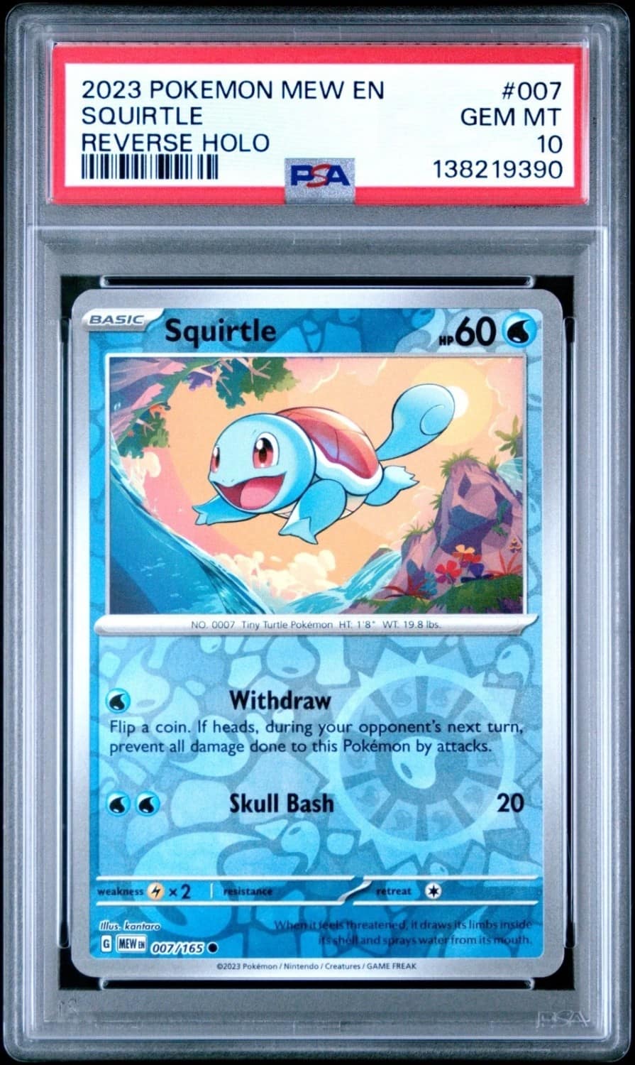 Squirtle