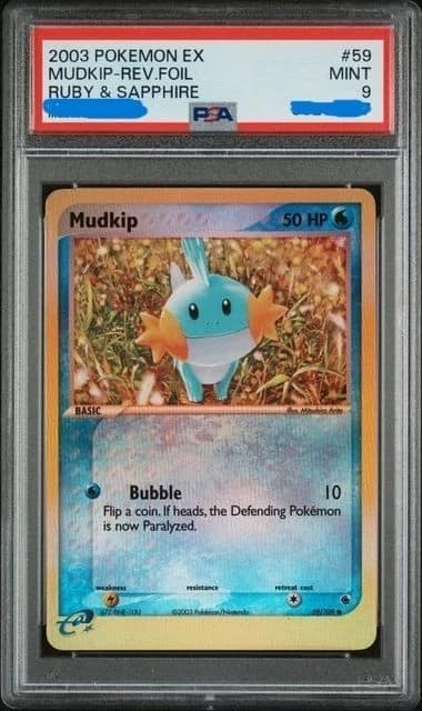Mudkip