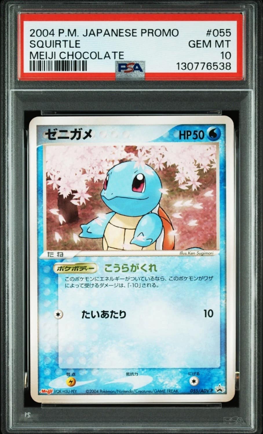 Squirtle