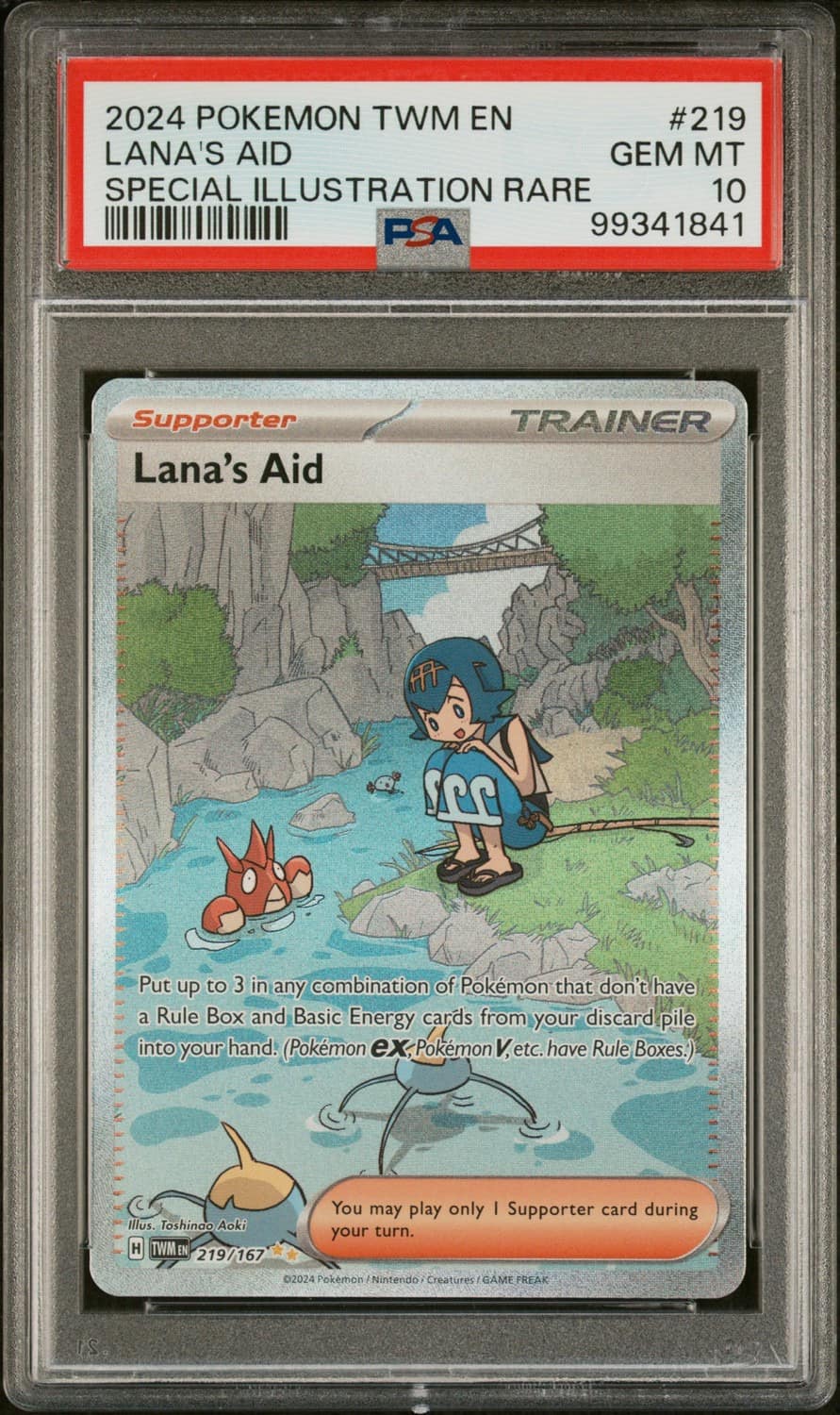Lana'S Aid