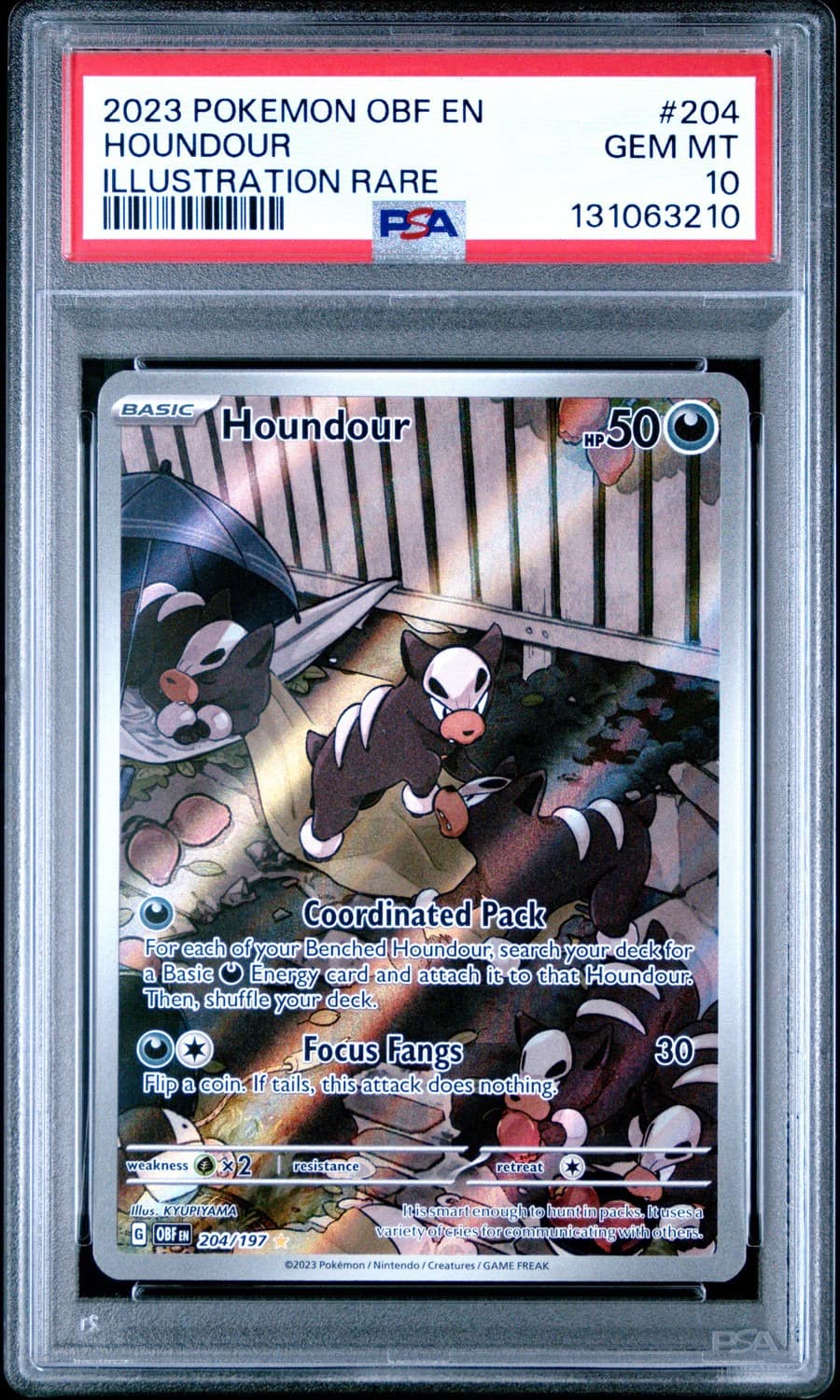 Houndour