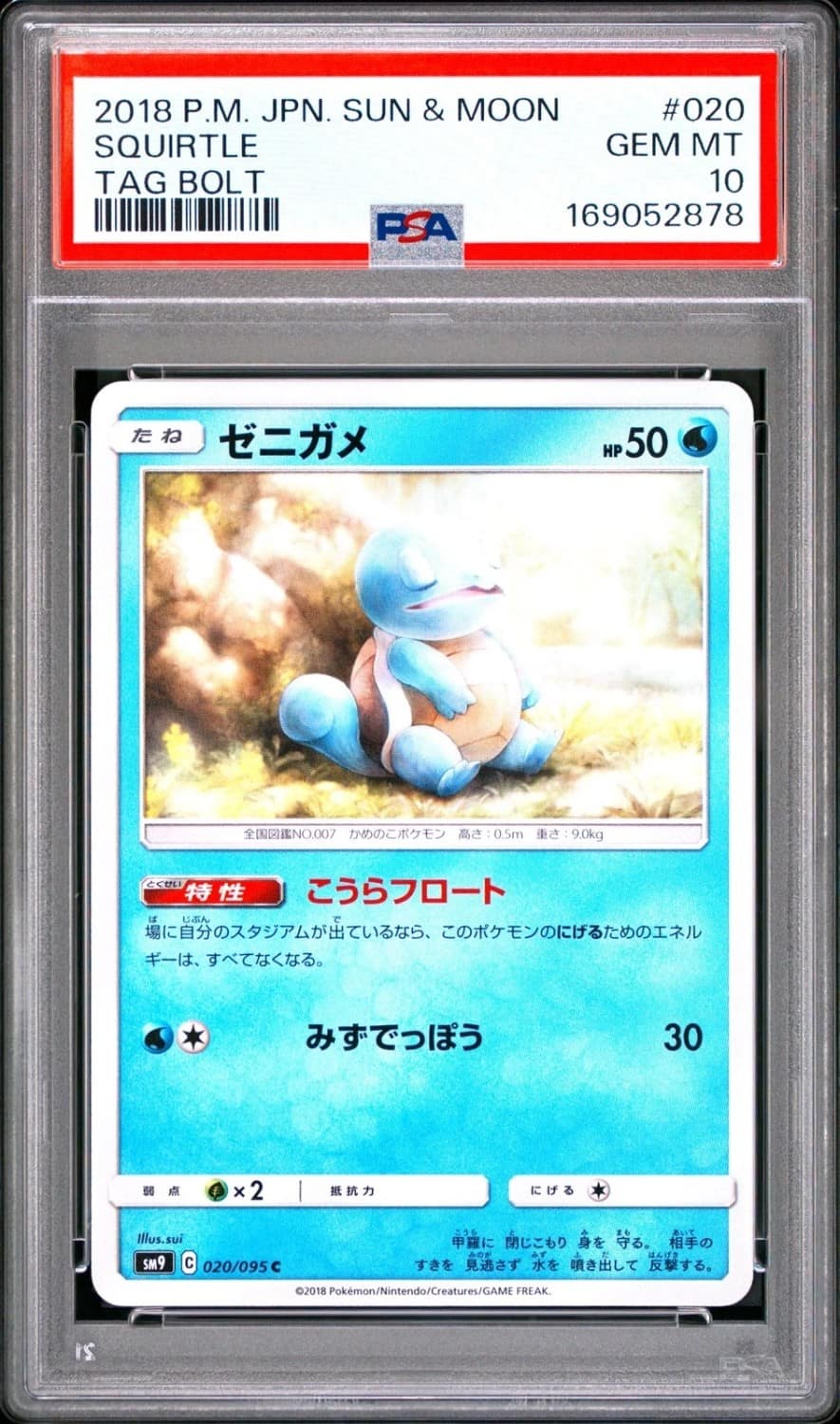 Squirtle