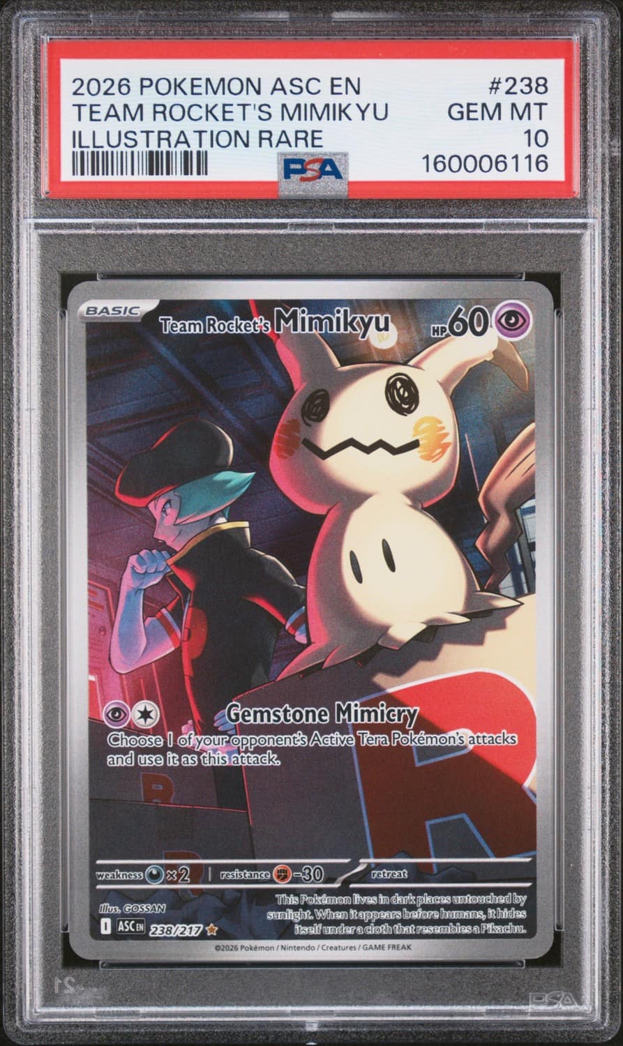 Team Rocket'S Mimikyu