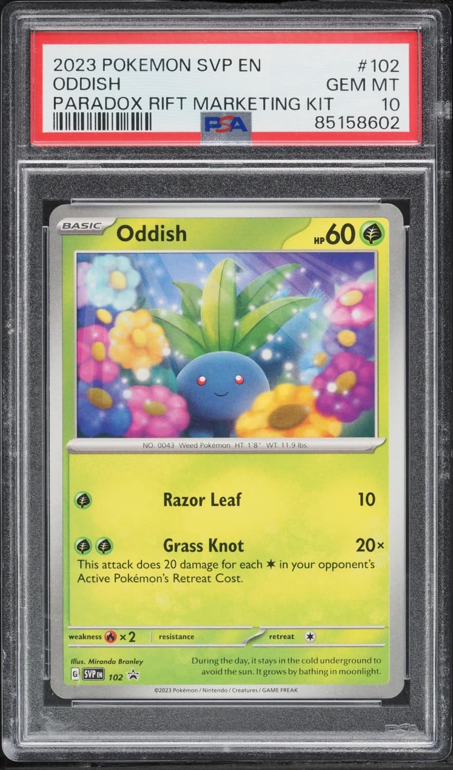 Oddish
